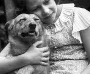 Queen Elizabeth had a special place in her heart for Corgis, a breed that remained with her throughout her long lifetime.