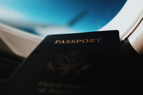 There may be many good reasons to apply for dual citizenship.  Ease of travel is one of them.