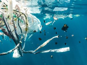 We Must Ban Plastic Bags
