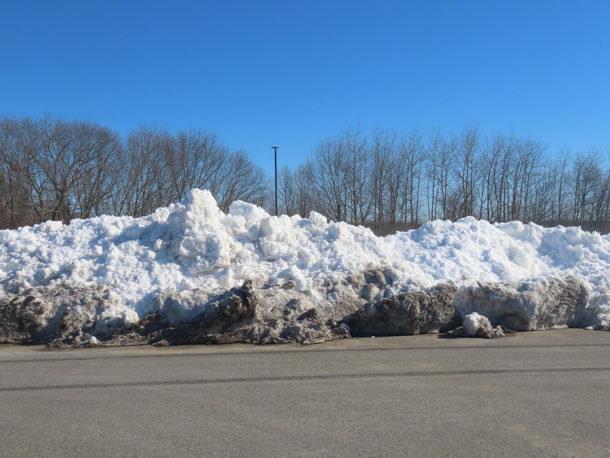 Parking after the Blizzard