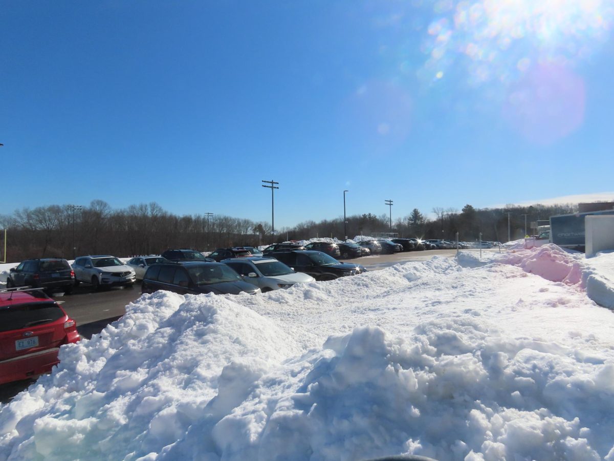 Parking after the Blizzard