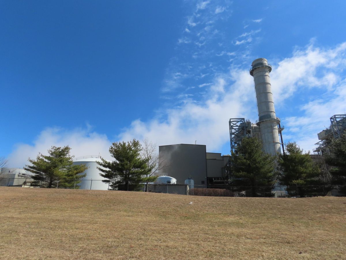 Room is Running Out in Rhode Island's Landfill—Why We All Need to Step In